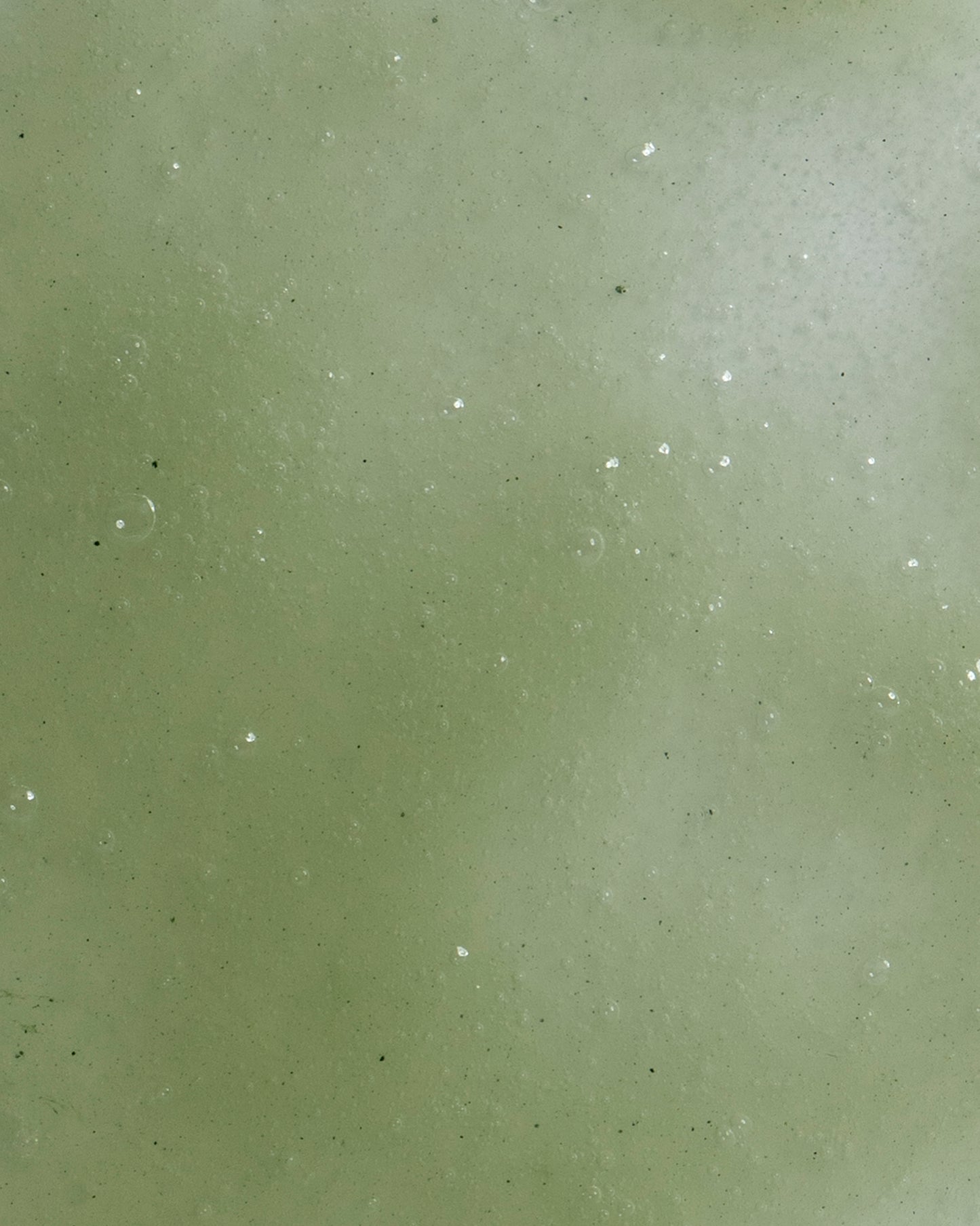 The Matcha Minute